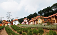 허브아일랜드 펜션