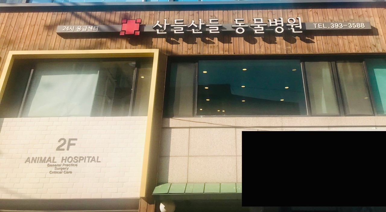 산들산들 동물병원
