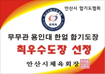 JTA 용인대한얼합기도