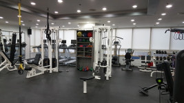 더 제이짐
