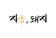 지금,돼지