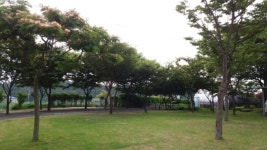 벌천포민박