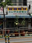 소나무자원봉사
