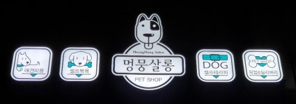 멍뭉살롱