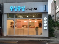 몽실몽실 애견미용실