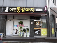 이쁜똥강아지