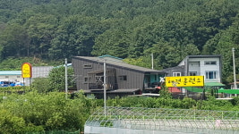 클럽더독스