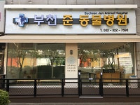 부천 준동물병원