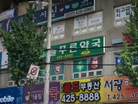 늘푸른약국