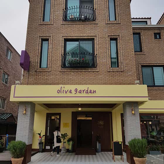 올리브가든 본점 사진
