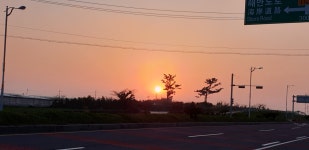 제주무릉도원집