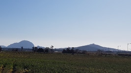 제주무릉도원집