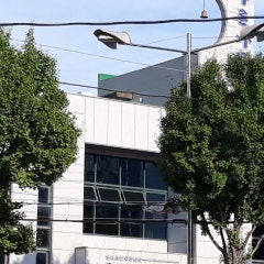 푸른나무교회