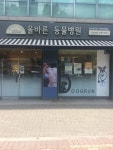 올바른동물병원