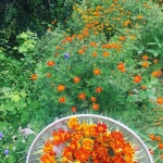 세그루게스트하우스