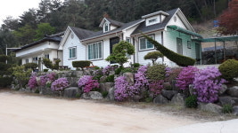 진동산채농장