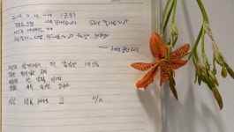 세그루게스트하우스