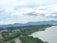 세그루게스트하우스