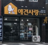 애견사랑