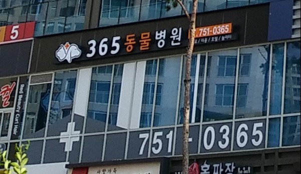 365동물병원 위례점