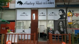 오드리헤어