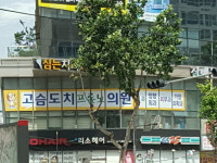 고슴도치프롤노의원