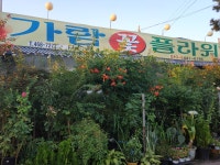 가람꽃플라워