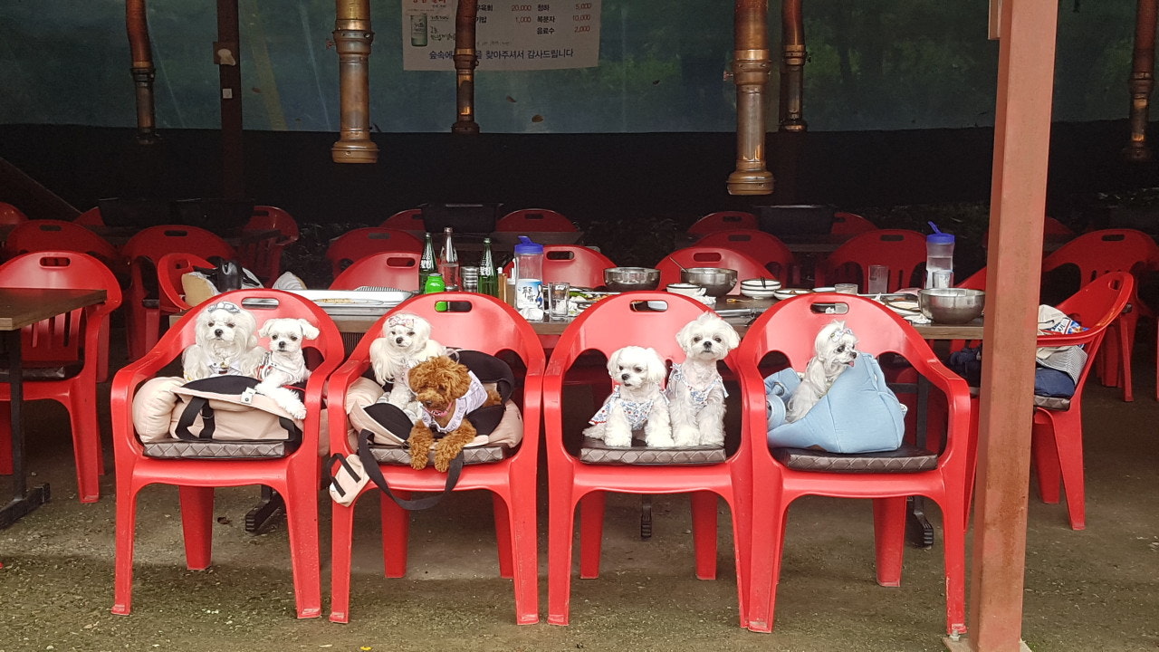 숲속에고기집