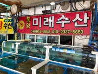 통영미래수산