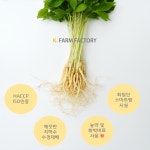 케이팜팩토리