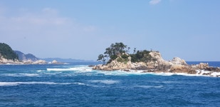 오토샵
