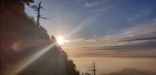 산청한방공인중개사사무소