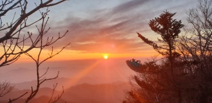 산청한방공인중개사사무소
