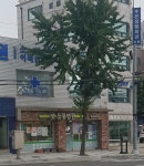 펫 동물병원