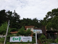 소나무식당