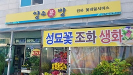 양수꽃방