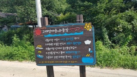 고래실마을 논풀장