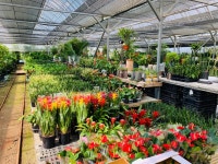 송정꽃농원
