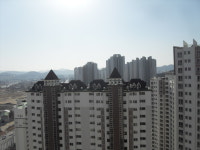 수목토부자공인중개사사무소