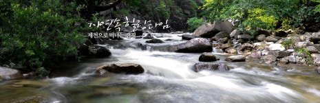 제천시야영장연합회
