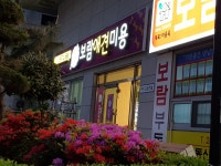 보람애견미용