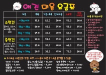 보람애견미용
