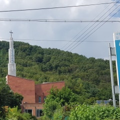 새빛전원교회