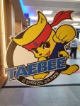 태비태권도