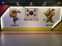 태비태권도