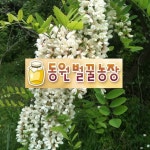 동원벌꿀농장