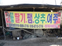 정겨운농장