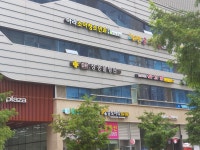 닥터정동물병원