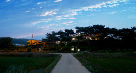 솔푸른향기애견펜션