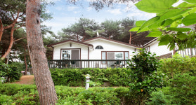 솔푸른향기애견펜션